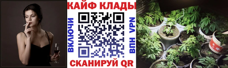Где купить наркоту Городовиковск Амфетамин Меф Alpha-PVP Гашиш Кокаин Марихуана
