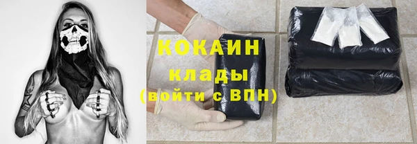 шишки Сосновка