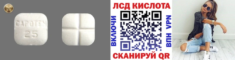 omg онион Городовиковск Лсд 25 экстази кислота