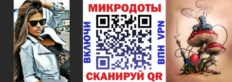 Псилоцибиновые грибы Psilocybe Городовиковск